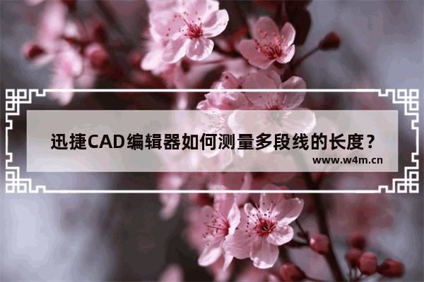 迅捷CAD编辑器如何测量多段线的长度？