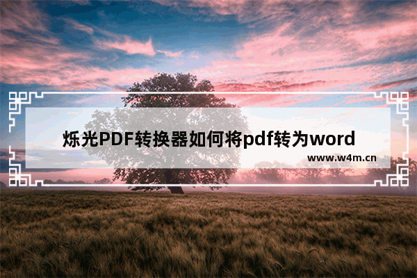 烁光PDF转换器如何将pdf转为word？