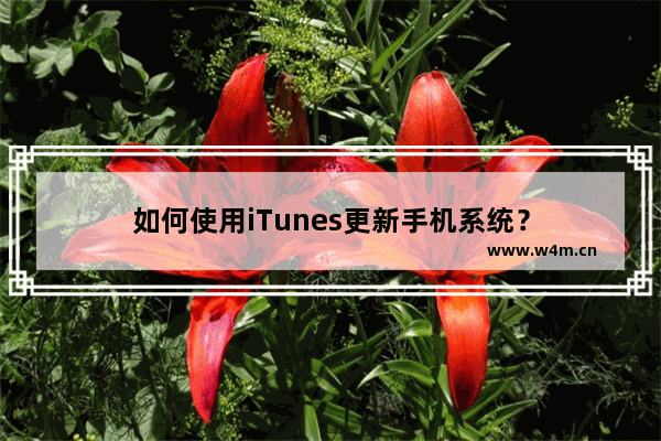 如何使用iTunes更新手机系统？