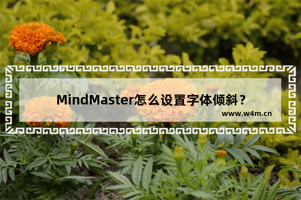 MindMaster怎么设置字体倾斜？