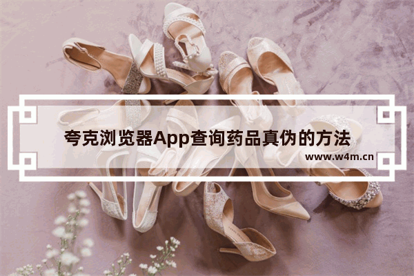 夸克浏览器App查询药品真伪的方法