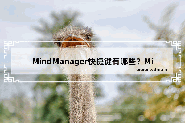 MindManager快捷键有哪些？MindManager快捷键大全