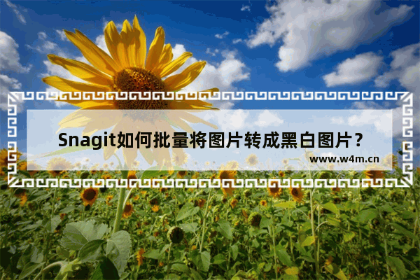 Snagit如何批量将图片转成黑白图片？