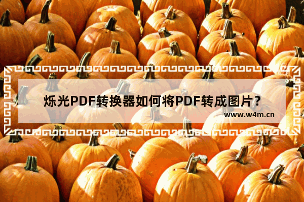 烁光PDF转换器如何将PDF转成图片？