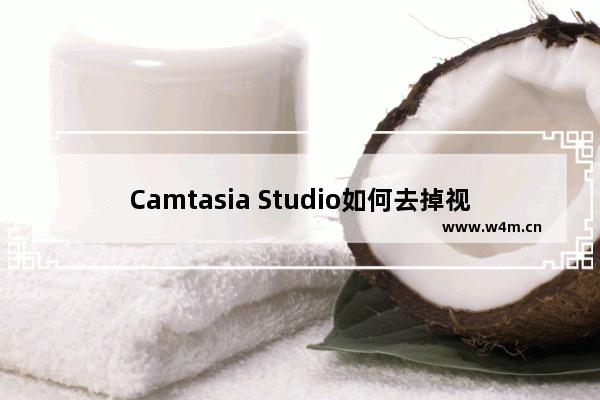 Camtasia Studio如何去掉视频黑边？