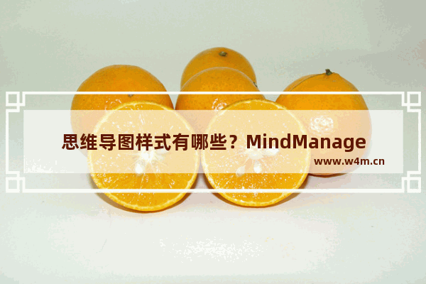 思维导图样式有哪些？MindManager思维导图样式大全