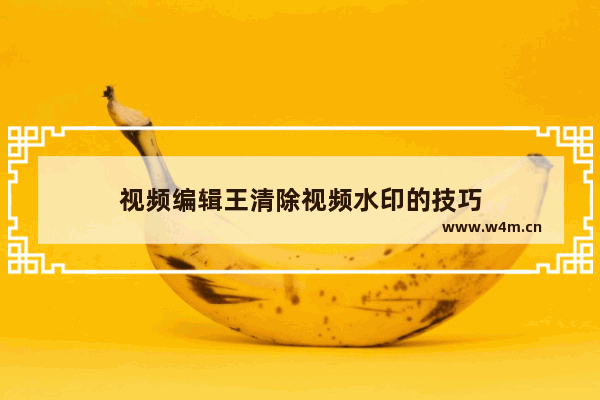 视频编辑王清除视频水印的技巧