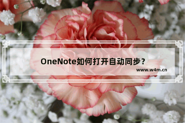 OneNote如何打开自动同步？