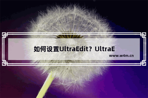 如何设置UltraEdit？UltraEdit基础设置教程