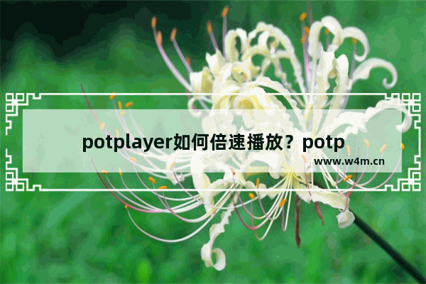 potplayer如何倍速播放？potplayer倍速播放的技巧