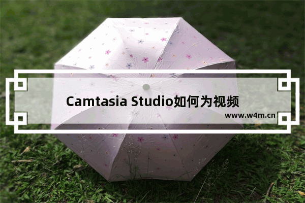 Camtasia Studio如何为视频添加标注？