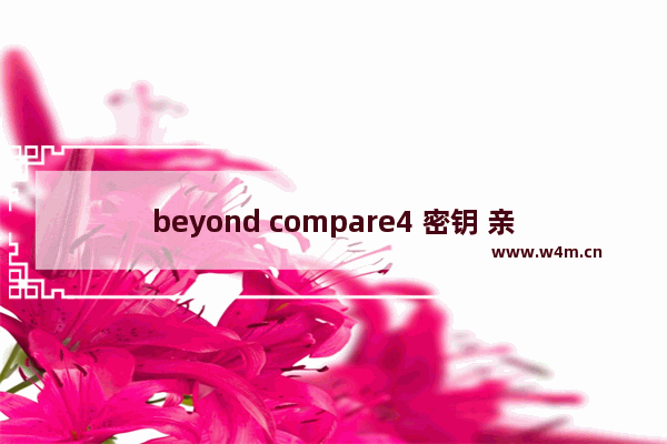 beyond compare4 密钥 亲测可用