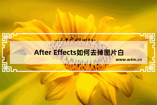 After Effects如何去掉图片白色底？