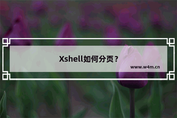 Xshell如何分页？