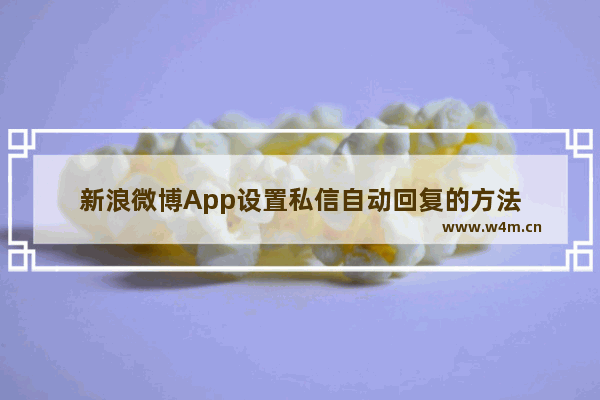 新浪微博App设置私信自动回复的方法