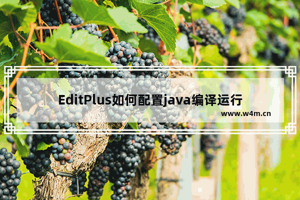 EditPlus如何配置java编译运行环境？