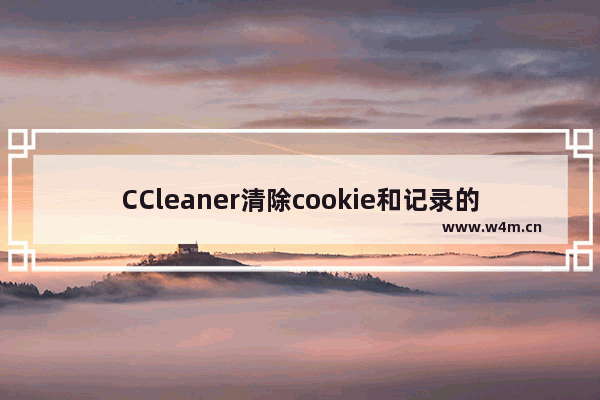 CCleaner清除cookie和记录的方法