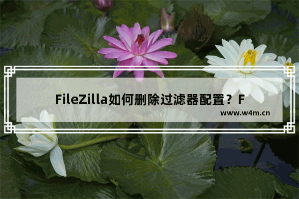 FileZilla如何删除过滤器配置？FileZilla删除过滤器配置的技巧