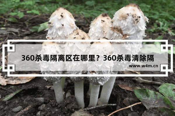 360杀毒隔离区在哪里？360杀毒清除隔离区的方法