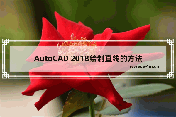 AutoCAD 2018绘制直线的方法