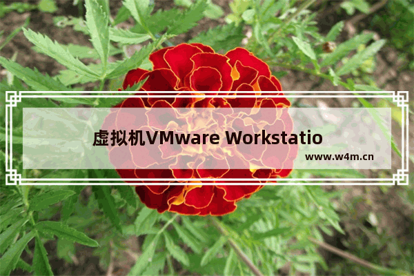 虚拟机VMware Workstation 11最新密钥下载 免费有效