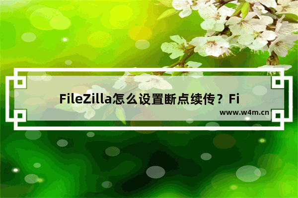 FileZilla怎么设置断点续传？FileZilla设置断点续传的技巧