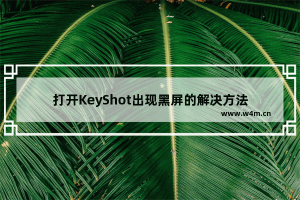 打开KeyShot出现黑屏的解决方法