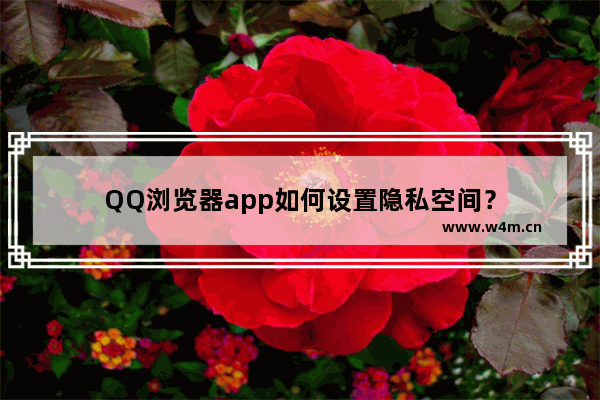 QQ浏览器app如何设置隐私空间？