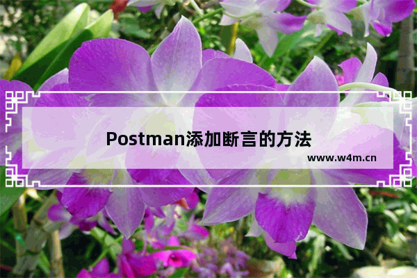 Postman添加断言的方法