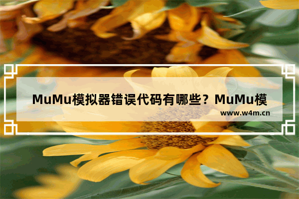 MuMu模拟器错误代码有哪些？MuMu模拟器常见错误码大全