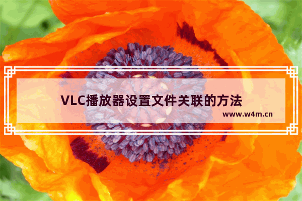 VLC播放器设置文件关联的方法