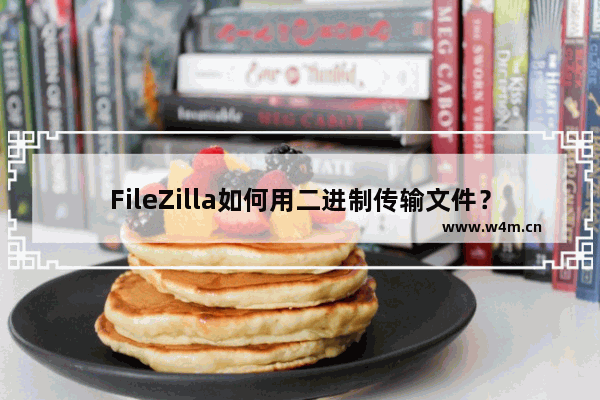 FileZilla如何用二进制传输文件？