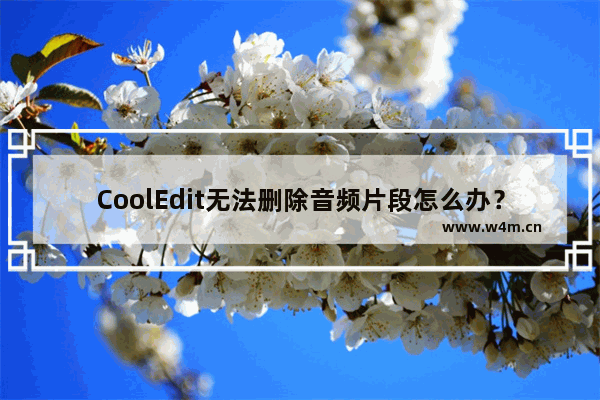 CoolEdit无法删除音频片段怎么办？