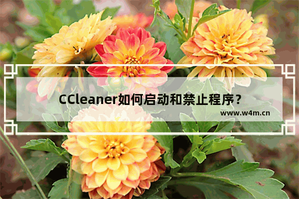 CCleaner如何启动和禁止程序？