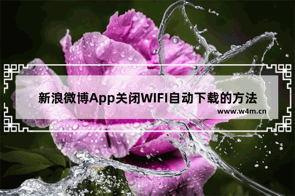 新浪微博App关闭WIFI自动下载的方法