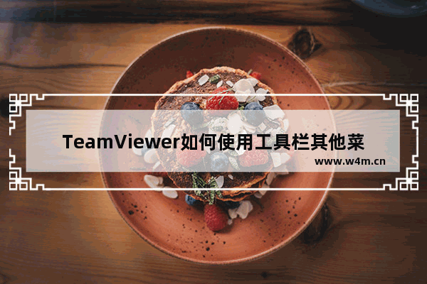 TeamViewer如何使用工具栏其他菜单？