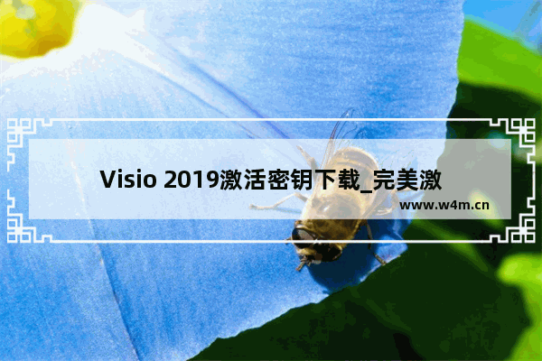 Visio 2019激活密钥下载_完美激活Visio 2019