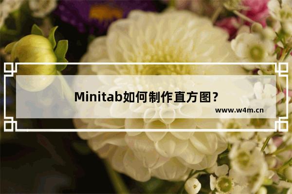 Minitab如何制作直方图？