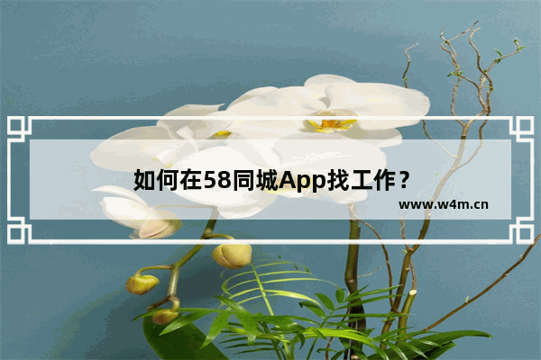 如何在58同城App找工作？