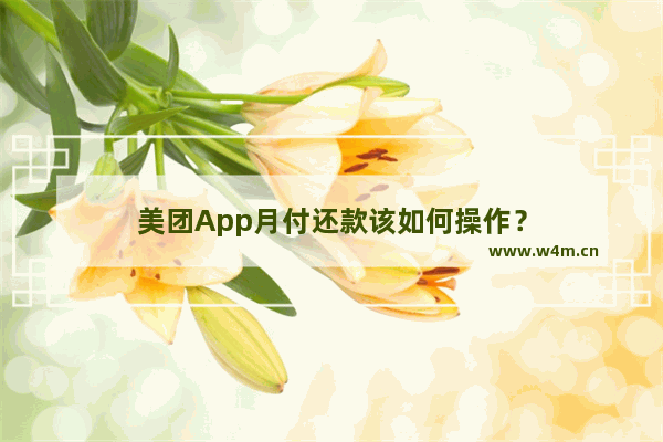 美团App月付还款该如何操作？