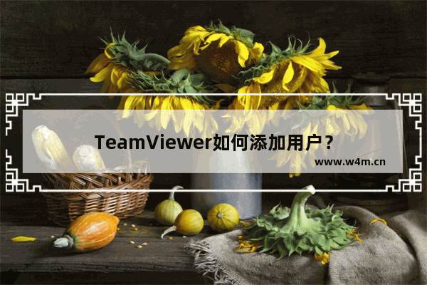 TeamViewer如何添加用户？