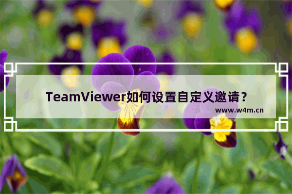 TeamViewer如何设置自定义邀请？