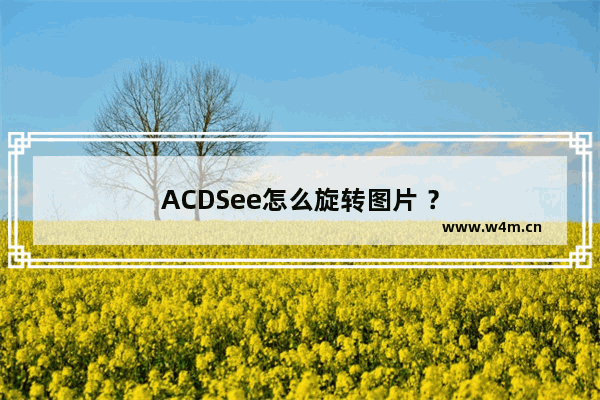 ACDSee怎么旋转图片 ？