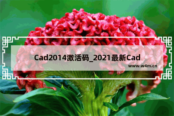 Cad2014激活码_2021最新Cad2014激活密钥