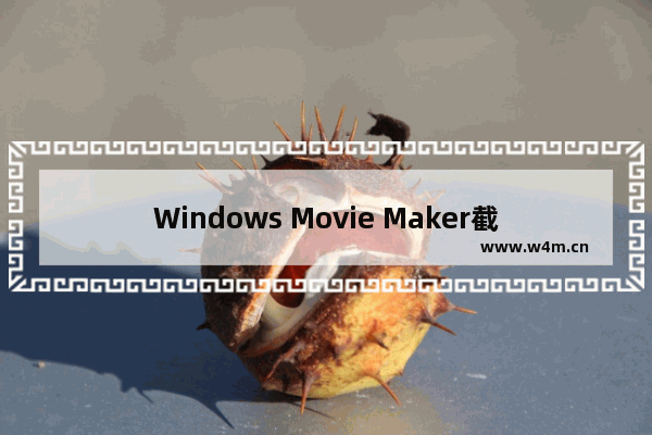 Windows Movie Maker截取视频的方法