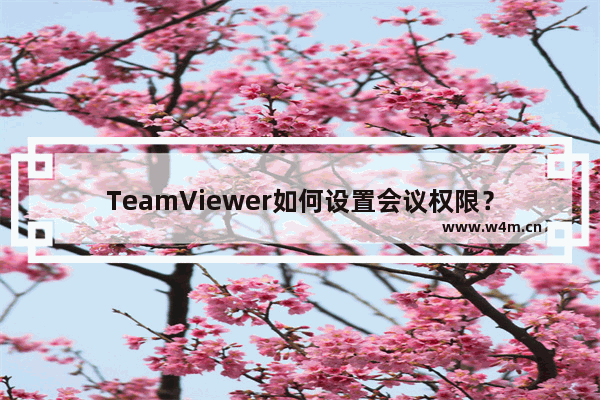 TeamViewer如何设置会议权限？