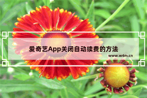 爱奇艺App关闭自动续费的方法