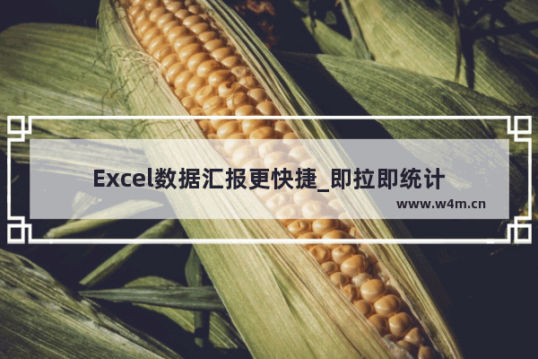 Excel数据汇报更快捷_即拉即统计