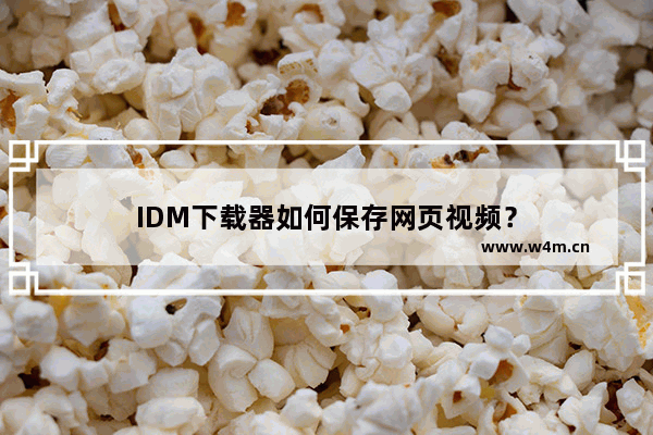 IDM下载器如何保存网页视频？