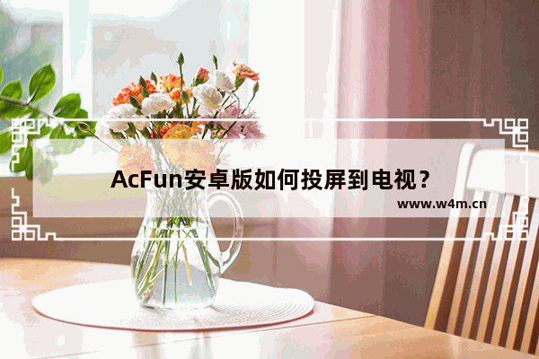 AcFun安卓版如何投屏到电视？